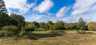 Terrain à Saint-Antoine-du-Rocher en Indre-et-Loire (37) de 445 m² à vendre au prix de 72000€ - 2