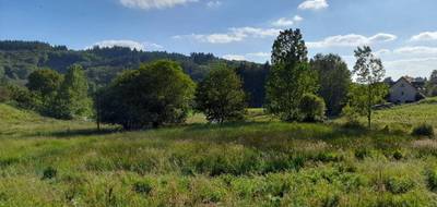 Terrain à Saint-Léger-la-Montagne en Haute-Vienne (87) de 2729 m² à vendre au prix de 23000€ - 1