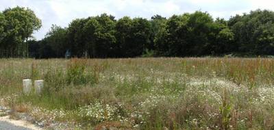 Terrain et maison à Vernantes en Maine-et-Loire (49) de 104 m² à vendre au prix de 245500€ - 3