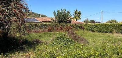 Terrain à Gonfaron en Var (83) de 816 m² à vendre au prix de 145000€ - 1