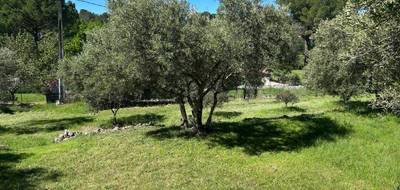 Terrain à Lorgues en Var (83) de 2400 m² à vendre au prix de 174000€ - 1