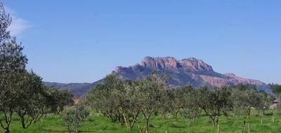 Terrain et maison à Roquebrune-sur-Argens en Var (83) de 120 m² à vendre au prix de 650000€ - 4