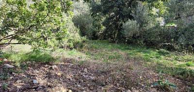 Terrain et maison à Rocbaron en Var (83) de 100 m² à vendre au prix de 386000€ - 4