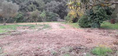 Terrain à Cuers en Var (83) de 920 m² à vendre au prix de 250000€ - 3