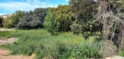 Terrain et maison à Canet en Hérault (34) de 95 m² à vendre au prix de 302000€ - 4