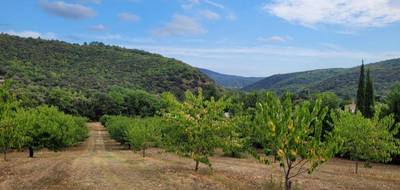 Terrain et maison à Reynès en Pyrénées-Orientales (66) de 145 m² à vendre au prix de 489000€ - 3