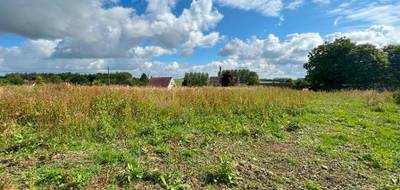 Terrain à Bailleulmont en Pas-de-Calais (62) de 801 m² à vendre au prix de 52965€ - 1