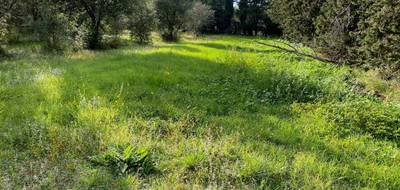 Terrain à Grillon en Vaucluse (84) de 505 m² à vendre au prix de 99000€ - 4