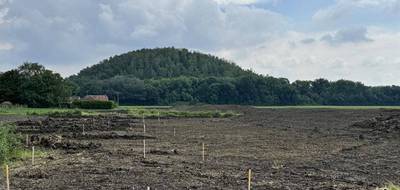 Terrain et maison à Carvin en Pas-de-Calais (62) de 100 m² à vendre au prix de 255000€ - 3