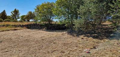 Terrain à Lorgues en Var (83) de 804 m² à vendre au prix de 119000€ - 4