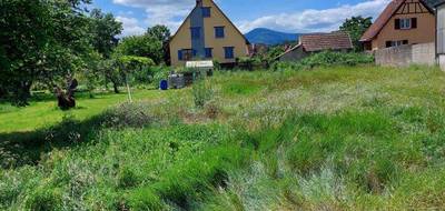 Terrain et maison à Sélestat en Bas-Rhin (67) de 100 m² à vendre au prix de 399000€ - 4