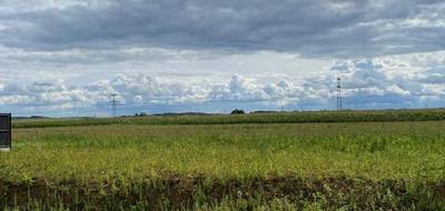 Terrain à Wailly en Pas-de-Calais (62) de 1166 m² à vendre au prix de 65900€ - 2