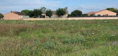 Terrain et maison à Gaillac en Tarn (81) de 75 m² à vendre au prix de 203500€ - 4