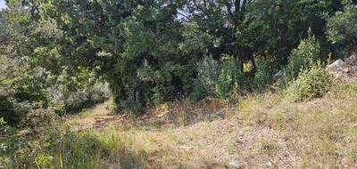 Terrain à Bargemon en Var (83) de 1502 m² à vendre au prix de 99000€ - 4