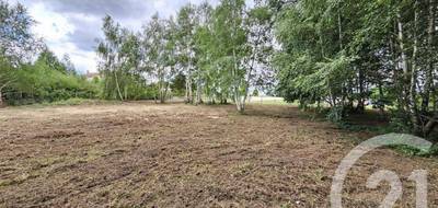 Terrain à Lannemezan en Hautes-Pyrénées (65) de 2275 m² à vendre au prix de 19900€ - 3