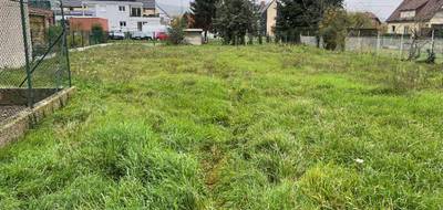 Terrain et maison à Turckheim en Haut-Rhin (68) de 125 m² à vendre au prix de 560000€ - 4