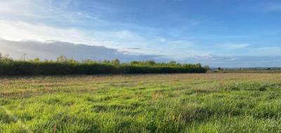 Terrain à Saint-Laurent-des-Vignes en Dordogne (24) de 475 m² à vendre au prix de 36500€ - 1