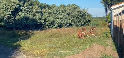 Terrain et maison à Biscarrosse en Landes (40) de 70 m² à vendre au prix de 440000€ - 2