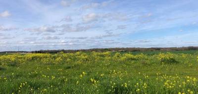 Terrain et maison à Bourgneuf en Charente-Maritime (17) de 70 m² à vendre au prix de 266352€ - 4