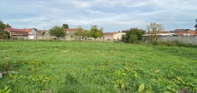 Terrain et maison à Râches en Nord (59) de 125 m² à vendre au prix de 341000€ - 4