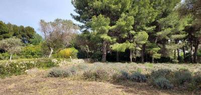 Terrain à Sanary-sur-Mer en Var (83) de 500 m² à vendre au prix de 460000€ - 2