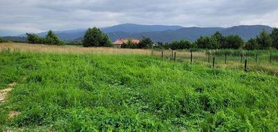 Terrain et maison à Pollestres en Pyrénées-Orientales (66) de 135 m² à vendre au prix de 524000€ - 3