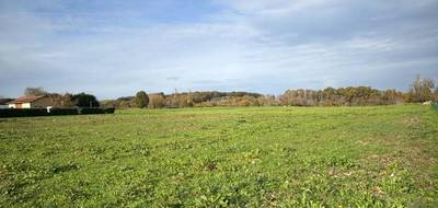 Terrain à Sigoulès-et-Flaugeac en Dordogne (24) de 1570 m² à vendre au prix de 34000€ - 4