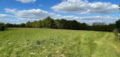 Terrain à Horsarrieu en Landes (40) de 2450 m² à vendre au prix de 48400€ - 1