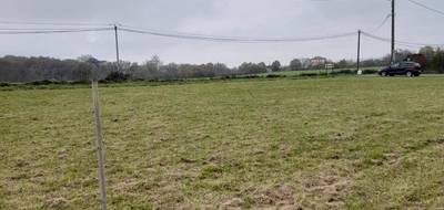 Terrain et maison à Gaillac-Toulza en Haute-Garonne (31) de 130 m² à vendre au prix de 359680€ - 3