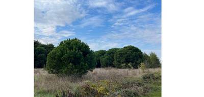 Terrain à Agde en Hérault (34) de 1320 m² à vendre au prix de 270000€ - 2