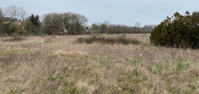 Terrain à Pont-l'Abbé-d'Arnoult en Charente-Maritime (17) de 300 m² à vendre au prix de 39500€ - 2