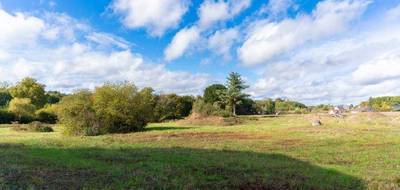 Terrain à Saint-Antoine-du-Rocher en Indre-et-Loire (37) de 395 m² à vendre au prix de 63000€ - 1