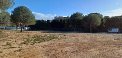 Terrain et maison à Perpignan en Pyrénées-Orientales (66) de 170 m² à vendre au prix de 849000€ - 4