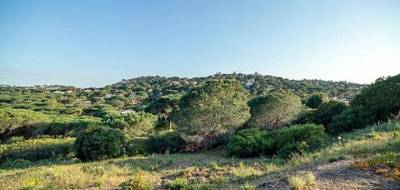 Terrain et maison à Sainte-Maxime en Var (83) de 173 m² à vendre au prix de 1990000€ - 3