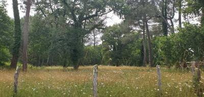 Terrain et maison à Parentis-en-Born en Landes (40) de 91 m² à vendre au prix de 360000€ - 4