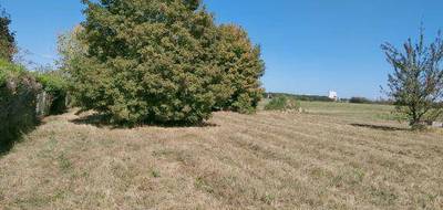 Terrain et maison à Azay-sur-Cher en Indre-et-Loire (37) de 99 m² à vendre au prix de 330609€ - 3