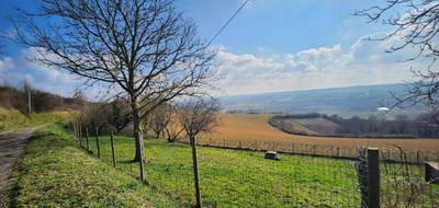 Terrain à Chuzelles en Isère (38) de 781 m² à vendre au prix de 200000€ - 4