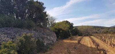 Terrain à Caves en Aude (11) de 400 m² à vendre au prix de 90000€ - 1