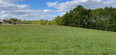 Terrain à Horsarrieu en Landes (40) de 2450 m² à vendre au prix de 48400€ - 1