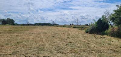 Terrain et maison à Audruicq en Pas-de-Calais (62) de 150 m² à vendre au prix de 325000€ - 3