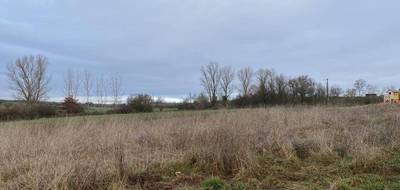 Terrain et maison à Saussenac en Tarn (81) de 91 m² à vendre au prix de 192600€ - 4