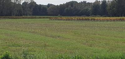 Terrain à Saint-Savin en Gironde (33) de 540 m² à vendre au prix de 49000€ - 1