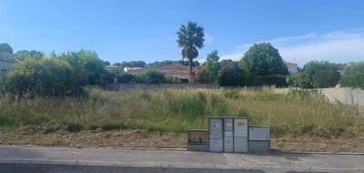 Terrain et maison à Saint-Geniès-des-Mourgues en Hérault (34) de 100 m² à vendre au prix de 709500€ - 3