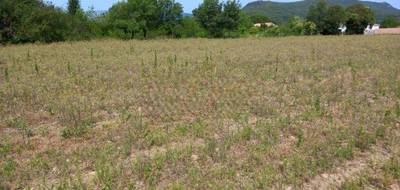 Terrain et maison à Hérépian en Hérault (34) de 110 m² à vendre au prix de 285000€ - 4