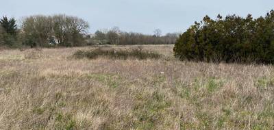 Terrain à Pont-l'Abbé-d'Arnoult en Charente-Maritime (17) de 404 m² à vendre au prix de 54420€ - 1