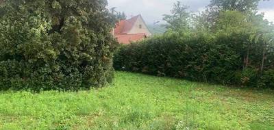 Terrain et maison à Mutzig en Bas-Rhin (67) de 83 m² à vendre au prix de 386000€ - 4