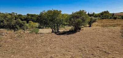 Terrain à Lorgues en Var (83) de 804 m² à vendre au prix de 119000€ - 1