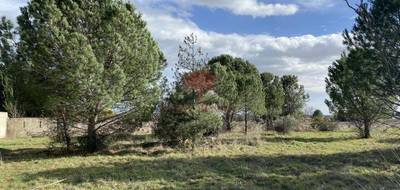 Terrain et maison à Saint-André-de-Sangonis en Hérault (34) de 120 m² à vendre au prix de 382040€ - 4