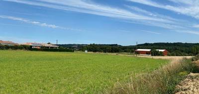 Terrain à Saint-Gauzens en Tarn (81) de 652 m² à vendre au prix de 61655€ - 3