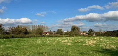 Terrain et maison à Bruille-lez-Marchiennes en Nord (59) de 130 m² à vendre au prix de 320000€ - 4